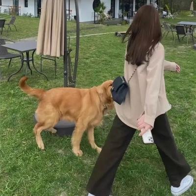 潘纳·哈拉